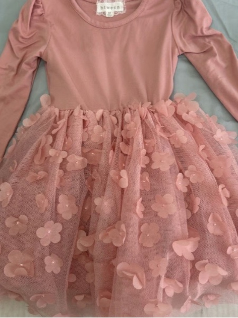 btween Dusty Pink Floral Appliqué Tulle Dress